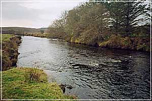 Salmon Fishing in Ireland, Country House Accommodation with Fly Fishing for  Salmon & Sea Trout on the Owenduff River near Westport, Mayo, Ireland